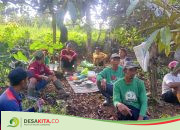 Tingkatkan Produktivitas Pertanian, Warga Desa Sambirejo Jombang Ini Punya Tradisi Anjangsana Kebun