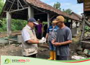 Dinas Peternakan Jombang Mulai Suntik Vaksin, soal 682 Ekor Sapi Terpapar PMK