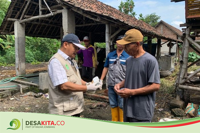 Dinas Peternakan Jombang Mulai Suntik Vaksin, soal 682 Ekor Sapi Terpapar PMK