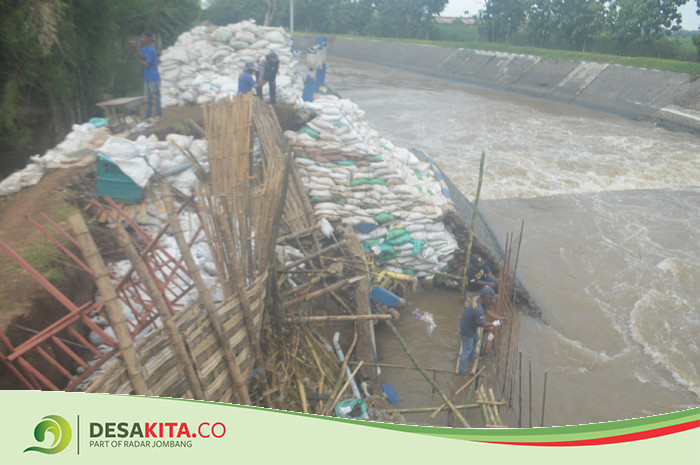 Tanggul Dam Balongsono Longsor, Warga Desa Talunkidul Jombang Waswas Tanggul Jebol