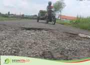 Jalan Non Status di Desa Dapurkejambon Jombang Makin Rusak Parah, Dinas Perkim dan PUPR Akui Bukan Kewenangannya