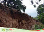 Terkikis Hujan, Tembok Penahan Jalan Sepanjang 20 Meter di Desa Pulosari Jombang Longsor