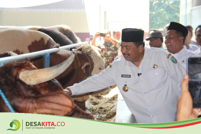 Pastikan Bebas PMK dan LSD, Bupati Warsubi Cek Kesehatan Hewan Kurban