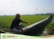 Inovasi Pemdes Kepuhkajang, Kecamatan Perak Jombang Optimalkan Lapangan Desa untuk Geliatkan Olahraga
