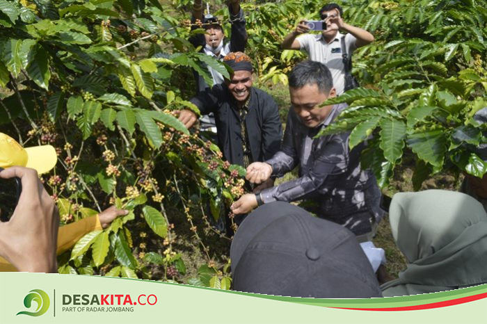 Melihat Tradisi Wiwit Kopi Warga Kampung Adat Segunung: Kenalkan Budaya Tradisional dalam Kemasan Modern