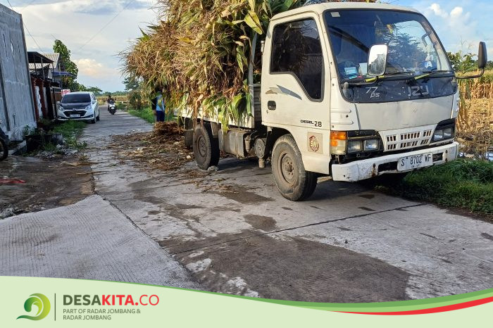 Desa Brayung, Kecamatan Puri Gencarkan Bangun Infrastruktur hingga Atasi Masalah Stunting