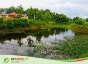 Waduk dan Embung Desa Mojowono, Kecamatan Kemlagi Disulap Jadi Wisata