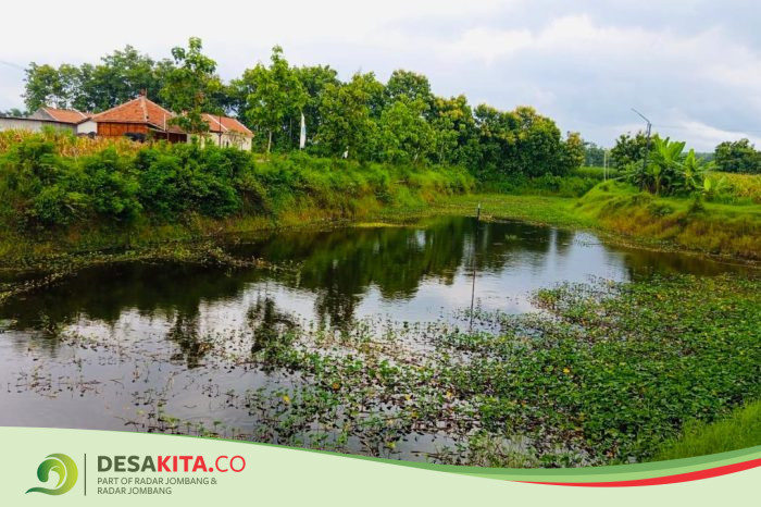 Waduk dan Embung Desa Mojowono, Kecamatan Kemlagi Disulap Jadi Wisata