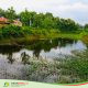 Waduk dan Embung Desa Mojowono, Kecamatan Kemlagi Disulap Jadi Wisata
