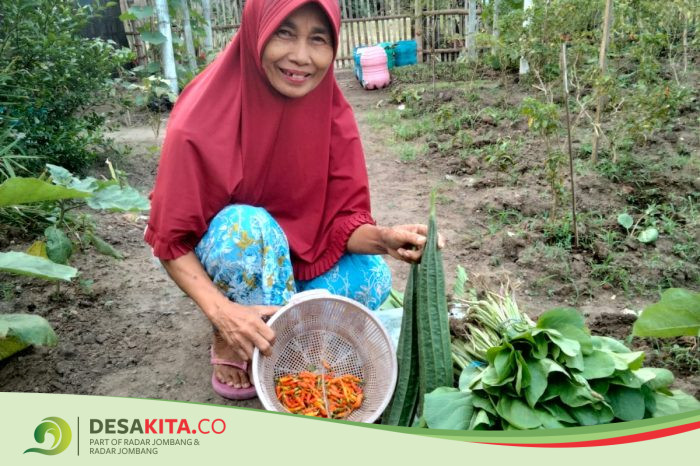 Desa Kemantren, Kecamatan Gedeg, Latih Kader Pangan Lestari, Tingkatkan Hasil Panen Sayuran