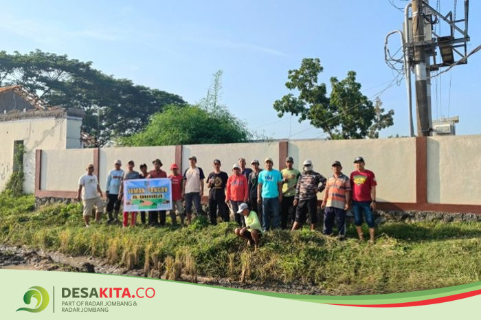 Dukung Swasembada Pangan, Desa Carangrejo, Kesamben Jombang Alokasikan Dana Desa untuk Program Taman Pangan