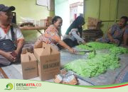 Desa Kedawong, Kecamatan Diwek Jombang Kembangkan Sentra Industri Tape Ketan Hijau
