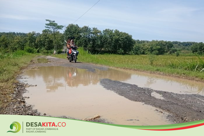 Jalan di Desa Asemgede Masih Penuh Lubang, Dinas PUPR Pastikan Tahun Ini Ditangani