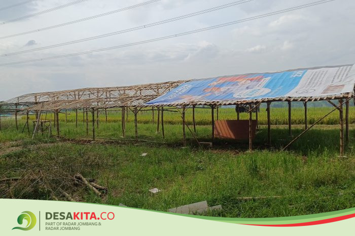 Desa Kuripansari, Kecamatan Pacet Dukung Ketahanan Pangan, Kembangkan Peternakan dan Pertanian