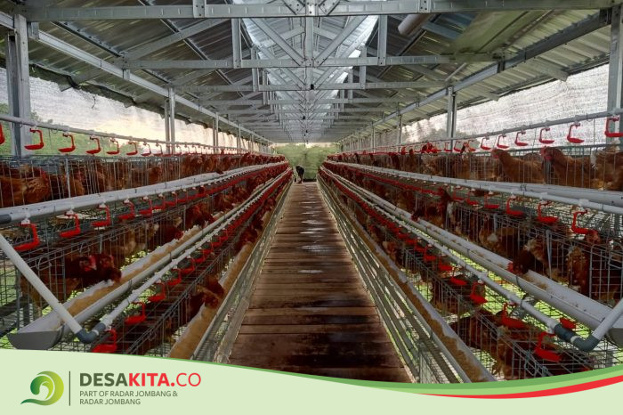 Desa Payungrejo, Kecamatan Kutorejo Menjaga Ketahanan Pangan melalui Ternak Ayam Petelur