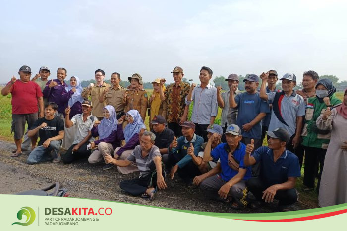 Wujudkan Desa Mantra, Pemdes Balongsari, Kecamatan Megaluh Gelar Panen Raya SL BTS
