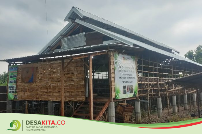 Desa Purwojati, Kecamatan Ngoro Bangun Kandang, Sediakan Stok Telur dengan Harga Murah