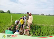 Desa Kepuhdoko, Kecamatan Tembelang Jombang Lestarikan Tradisi Susuk Kalen, Ini Tujuannya