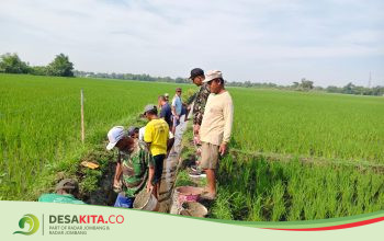Desa Kepuhdoko, Kecamatan Tembelang Jombang Lestarikan Tradisi Susuk Kalen, Ini Tujuannya