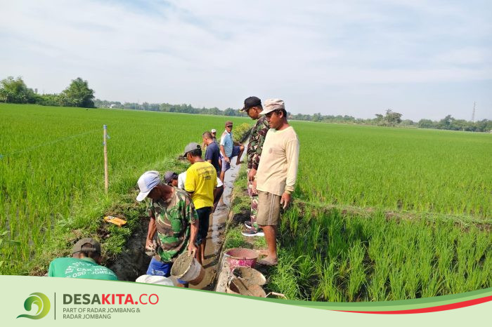 Desa Kepuhdoko, Kecamatan Tembelang Jombang Lestarikan Tradisi Susuk Kalen, Ini Tujuannya