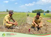 Tingkatkan Layanan, Desa Sumberagung, Kecamatan Peterongan Fasilitasi Pemasangan Tanda Batas