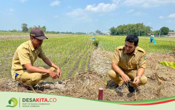 Tingkatkan Layanan, Desa Sumberagung, Kecamatan Peterongan Fasilitasi Pemasangan Tanda Batas
