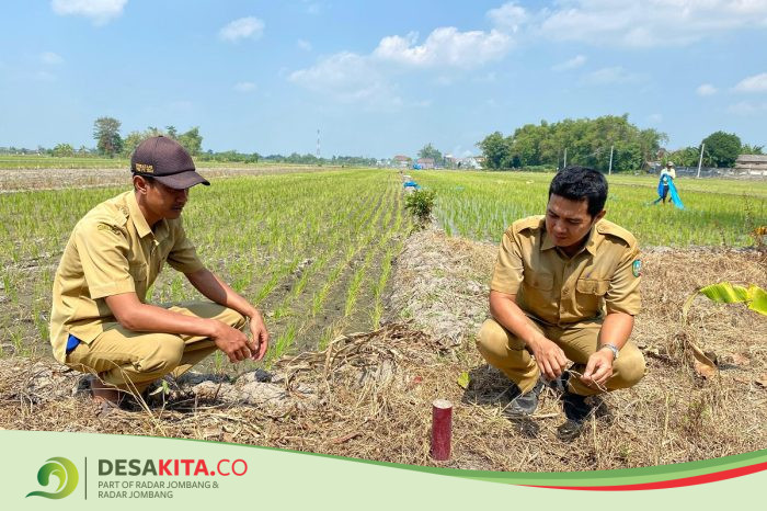 Tingkatkan Layanan, Desa Sumberagung, Kecamatan Peterongan Fasilitasi Pemasangan Tanda Batas