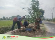 Desa Jombok Hijaukan Jalan dengan Alpukat dan Jambu, Warga Diajak Nikmati Hasilnya di Masa Depan