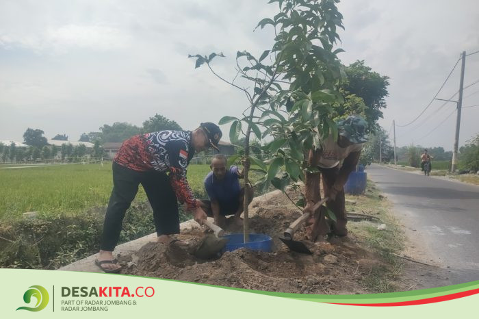 Desa Jombok Hijaukan Jalan dengan Alpukat dan Jambu, Warga Diajak Nikmati Hasilnya di Masa Depan