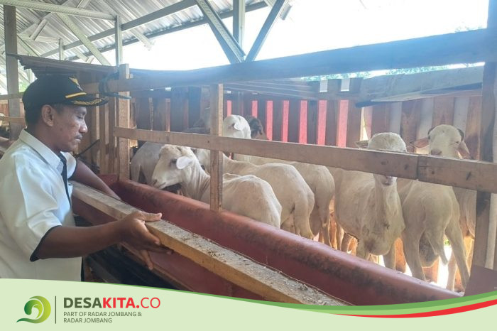 Desa Tempuran, Kecamatan Pungging Jaga Ketahanan Pangan melalui Peternakan Kambing