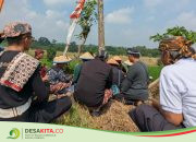 Desa Seloliman, Kecamatan Trawas  Gelar Upacara Adat Keleman, Berharap Panen Padi Melimpah