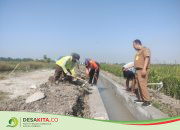 Desa Karangmojo Jombang Bangun Irigasi Rp 195 Juta, Petani Bakal Nikmati Dampaknya