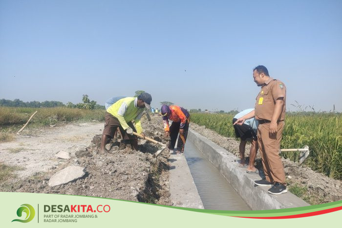 Desa Karangmojo Jombang Bangun Irigasi Rp 195 Juta, Petani Bakal Nikmati Dampaknya