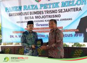 Dari Tanah Kas Desa Jadi Wisata Hits, BUMDes Mojotrisno Jombang Panen Melon Premium