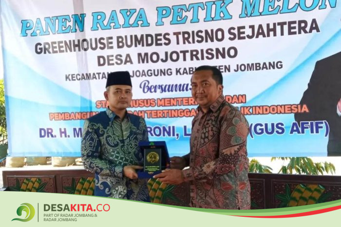 Dari Tanah Kas Desa Jadi Wisata Hits, BUMDes Mojotrisno Jombang Panen Melon Premium