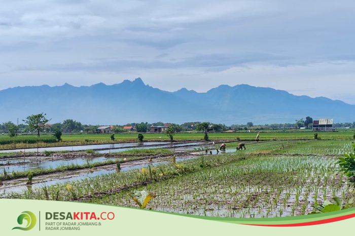 Desa Bicak, Kecamatan Trowulan Penguatan Ekonomi, Andalkan BUMdes Jadi Penggerak Unit Pertanian