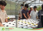 Engineers in Action 2026: Kolaborasi Mahasiswa ITS dan NTUST Taiwan Sulap Desa Kemiri Menjadi Laboratorium Inovasi Berkelanjutan
