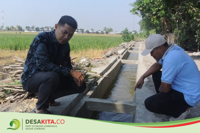 Desa Sumberagung, Kecamatan Peterongan Bangun Jaringan Irigasi, Upaya Tingkatkan Produktivitas Pertanian