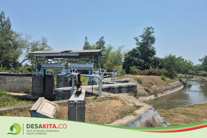 360 Hektare Sawah di Gudo Kekurangan Air, Dinas PUPR Jombang Atur Distribusi