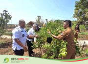 Berkat TEKAD, Desa Patawang Jadi Pionir Ayam Petelur di Sumba Timur