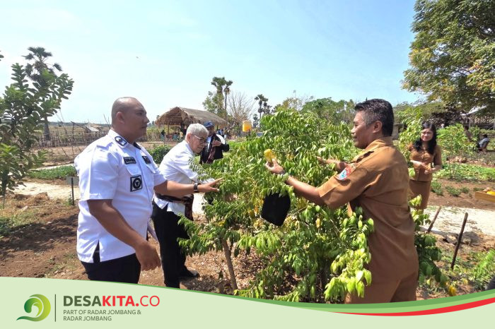 Berkat TEKAD, Desa Patawang Jadi Pionir Ayam Petelur di Sumba Timur