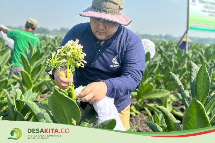 Sosok Syafril Yudhi Pratama, Warga Desa Sengon Jombang yang Mengabdi untuk Petani
