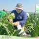 Sosok Syafril Yudhi Pratama, Warga Desa Sengon Jombang yang Mengabdi untuk Petani